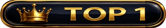 TOP 1